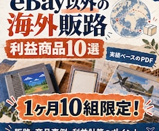 青海！eBayより稼げた海外販路と商品教えます イメージ1