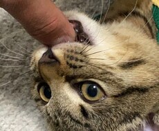 愚痴・暇潰し・なんでも聞きます イメージ1