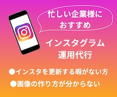 SNSマーケターがインスタ運用代行をします イメージ1