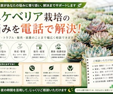 現役農家がエケベリア栽培の悩みを電話で解決します イメージ1