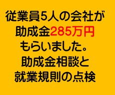 今もらいやすい助成金の説明と就業規則の確認をします イメージ1