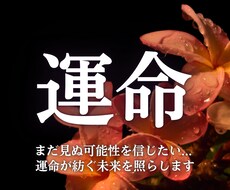 本気の方限定！運命の行方、真実を伝えます 未来が動き出す“決定的な転機”を見極め、チャンスを掴む