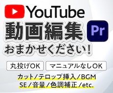 丸投げOK！エンタメ系・ビジネス系動画編集します 撮るだけでOK！YouTube動画をスピーディーに編集