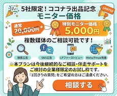 初回｜web広告戦略をプロ視点でアドバイスします 何をすれば改善する？と迷走する担当者様のためのお試し壁打ち