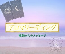 アロマカードで、今あなたに必要なメッセージ送ります 自然の恵みがあなたをサポートします