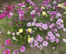 どれだけ小さなことでも、お聴きします イメージ1