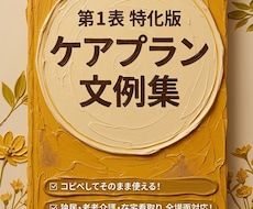居宅版ケアプラン　第1表　文例集販売します イメージ1