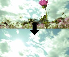 画像加工！どんなものでも消します イメージ1
