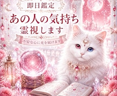 今どう思ってる？あの人の気持ち視ます あなたに対して抱いている感情や、表には出していない本音を