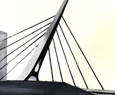 白黒でモノトーン調の絵を描きます イメージ1