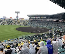 甲子園を目指す真剣な野球少年に心を込めて指導します イメージ1