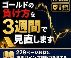 ゴールド夜スキャルを3週間で実践習得サポートします イメージ1