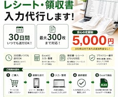 レシート・領収書を30日間入力代行します イメージ1