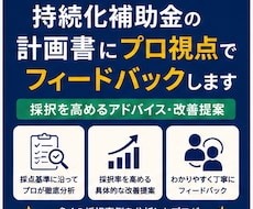 小規模持続化補助金の計画書にプロ視点で助言します 採択を高めるアドバイス・改善提案