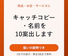 キャッチコピー・商品名を10案出します イメージ1