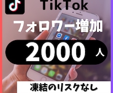 TikTokフォロワー＋2000人増加します イメージ1