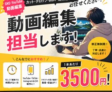 YouTube、TikTok動画編集を担当します イメージ1