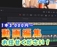 あなたの代わりにYouTubeの動画編集をします イメージ1
