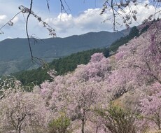 雑談も愚痴も色々じっくり聞きます イメージ1
