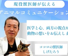 現役獣医師が動物の心の声をお伝えします イメージ1