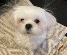 話し相手になります イメージ1