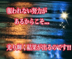 福岡の猫好きママが!!報われなかったお話し聞きます イメージ1