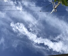白龍エネルギーを身体に流し込み浄化します イメージ1