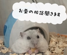 お薬の相談聞きます イメージ1