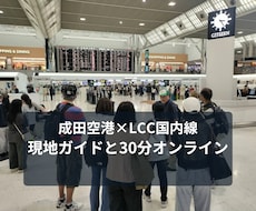 成田空港とLCC国内線の使い方を教えます 出発前・到着後・飛ばない日まで現地ガイドが30分解説