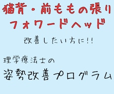 理学療法士が姿勢改善プログラム提供します イメージ1