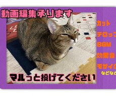 YouTubeなどの動画編集します イメージ1