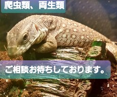 これから動物をお迎えしたい方相談お待ちしております イメージ1