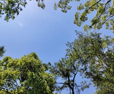 何をどうしたら良いか分からない時に話を聞きます イメージ1