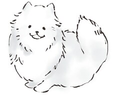 専用窓口になります 花井様用専用窓口です。通常出品ではございません。