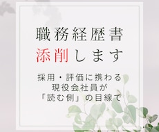 採用に携わる現役会社員が職務経歴書を添削します イメージ1