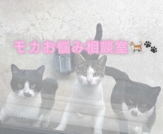 年齢性別問わず、内容問わず相談に乗ります イメージ1