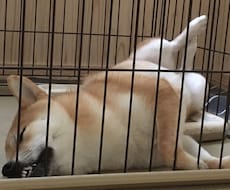 サイトの情報を更新します 文言変更などの更新をします！お気軽にご相談ください。