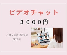 お見積り・面接に対応します オンライン秘書のカスタマイズ購入予定者さま専用！