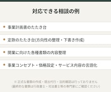 起業・独立準備の書類づくり、壁打ち相談承ります イメージ1