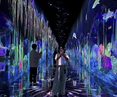 一緒に旅行の計画たてます イメージ1
