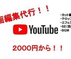 動画のテロップ、効果音、エフェクト入れます イメージ1