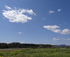 あなたの『生き方』を数秘術で見ます イメージ1
