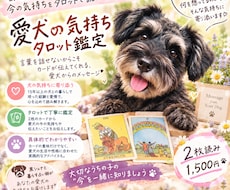 現役トリマーが【愛犬の気持ち】をタロットで占います イメージ1