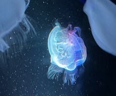 悩みについて占います イメージ1