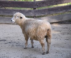 休止します イメージ1