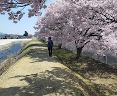 カウンセラー色々お話、聞きます NGなし！愚痴から雑談まで何でもOK！d(ゝω・´○)