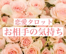 恋愛タロット♡お相手の本音と未来を占います 最短30分♡【カード開示、写真付】心に寄り添いお伝えします。