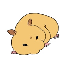 ハムスターのイラスト【3枚】作成します イメージ1