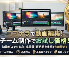お試し価格！縦型ショート動画編集★迅速に対応します イメージ1