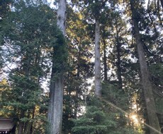 お悩みをお聞きして最善策をタロットにききます イメージ1